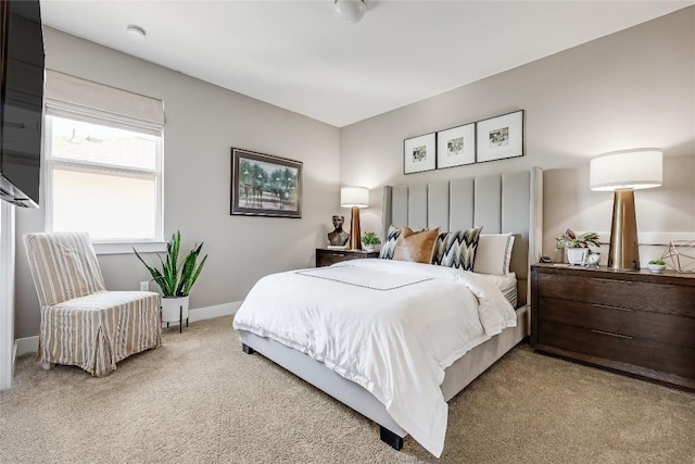12404 Cardinal Flower Dr, Austin, TX 78739 - bedroom featuring light colored carpet and baseboards