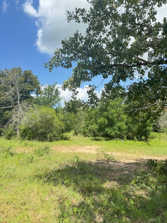 3519 County Road 127, Ledbetter, TX 78946