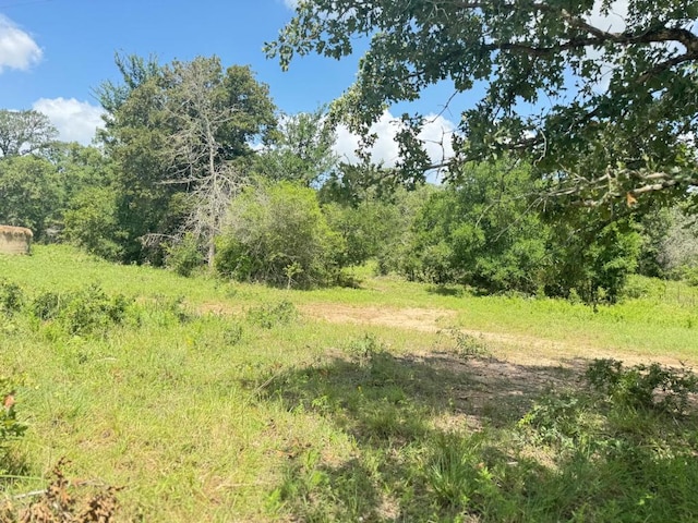 3519 County Road 127, Ledbetter, TX 78946