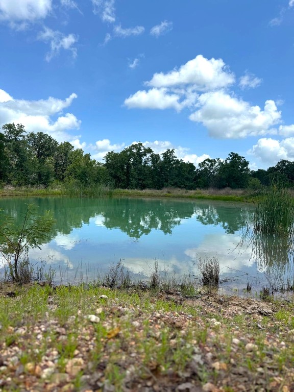 3519 County Road 127, Ledbetter, TX 78946