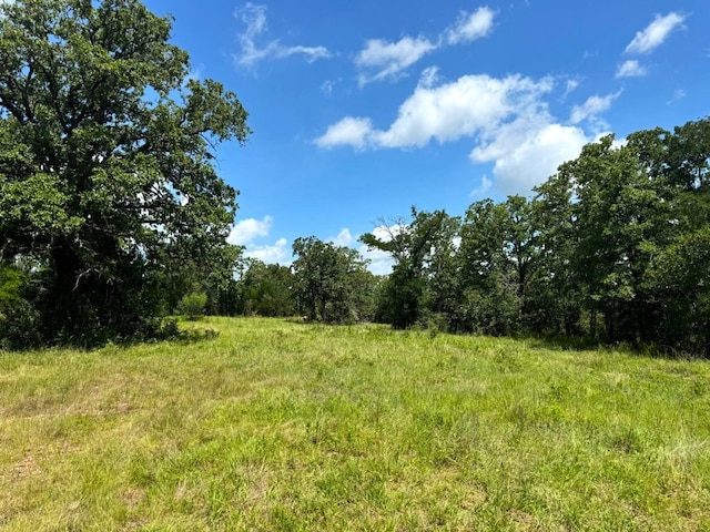 3519 County Road 127, Ledbetter, TX 78946