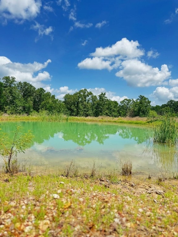 3519 County Road 127, Ledbetter, TX 78946