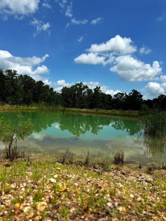 3519 County Road 127, Ledbetter, TX 78946