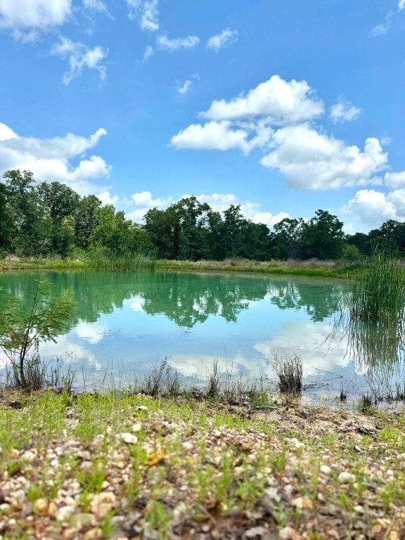 3519 County Road 127, Ledbetter, TX 78946