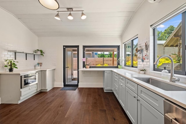 1700 S 3rd St, Austin, TX 78704 - kitchen with a sink, wall oven, stainless steel dishwasher, dark wood-style flooring, and healthy amount of natural light