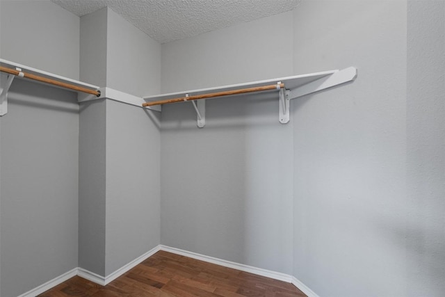 913 Dover Pass, Cedar Park, TX 78613 - spacious closet with wood finished floors