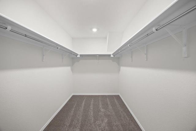 3917 Torraca Ln, Round Rock, TX 78665 - spacious closet featuring carpet