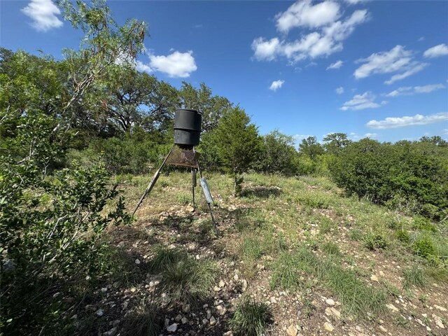 211 Hunters Glen Dr, San Marcos, TX 78666 - photo 15