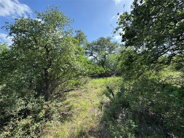 211 Hunters Glen Dr, San Marcos, TX 78666 - photo 21