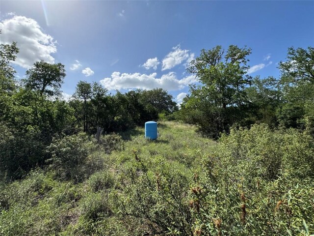 211 Hunters Glen Dr, San Marcos, TX 78666 - photo 3