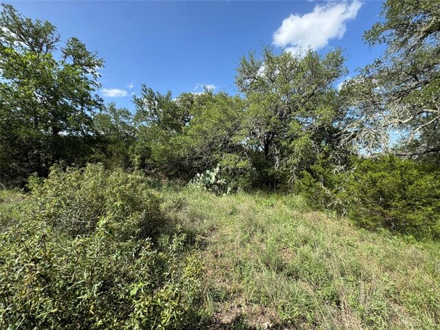 211 Hunters Glen Dr, San Marcos, TX 78666 - photo 22