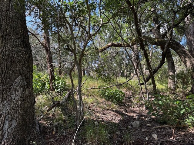 211 Hunters Glen Dr, San Marcos, TX 78666 - photo 12