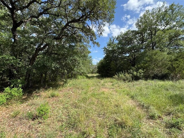 211 Hunters Glen Dr, San Marcos, TX 78666 - photo 1