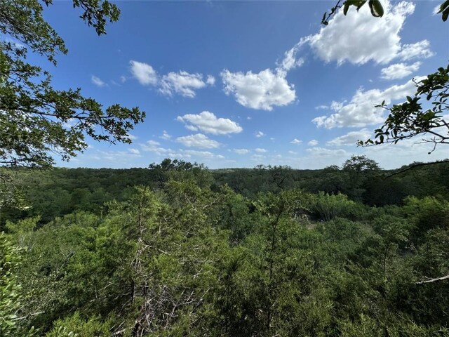 211 Hunters Glen Dr, San Marcos, TX 78666 - photo 7
