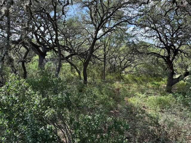 211 Hunters Glen Dr, San Marcos, TX 78666 - photo 10