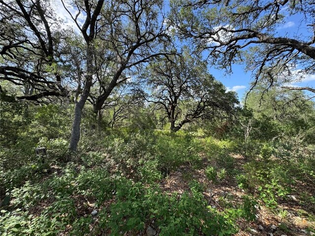 211 Hunters Glen Dr, San Marcos, TX 78666 - photo 11
