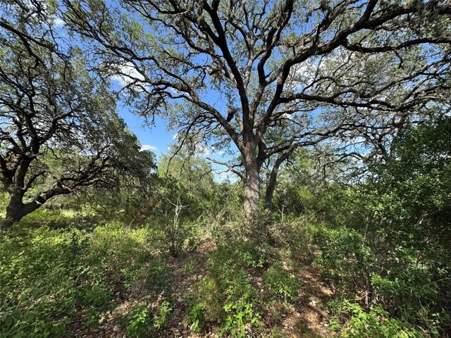 211 Hunters Glen Dr, San Marcos, TX 78666 - photo 13