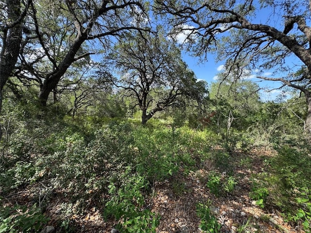 211 Hunters Glen Dr, San Marcos, TX 78666 - photo 14