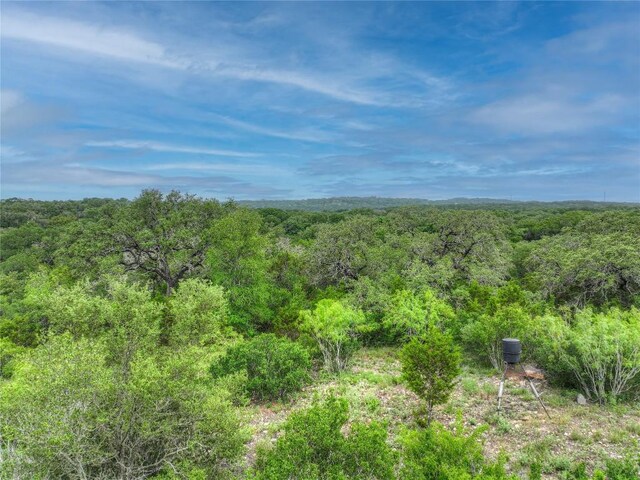 211 Hunters Glen Dr, San Marcos, TX 78666 - photo 24