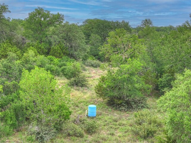 211 Hunters Glen Dr, San Marcos, TX 78666 - photo 26