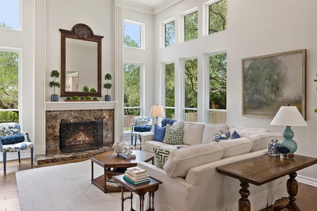 507 Konstanty Cir, West Lake Hills, TX 78746 - living room featuring wood finished floors, a towering ceiling, a fireplace, and crown molding