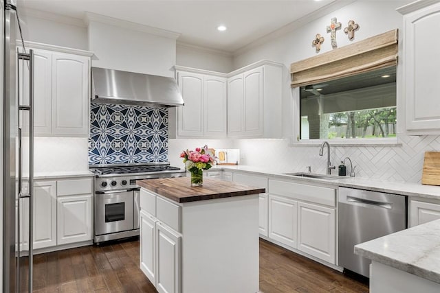507 Konstanty Cir, West Lake Hills, TX 78746 - kitchen featuring range hood, appliances with stainless steel finishes, a sink, wooden counters, and crown molding