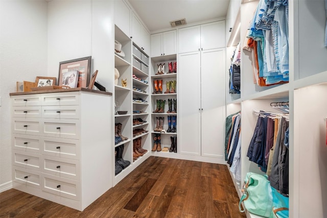 507 Konstanty Cir, West Lake Hills, TX 78746 - spacious closet featuring dark wood-style flooring