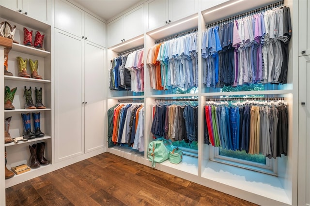 507 Konstanty Cir, West Lake Hills, TX 78746 - spacious closet featuring dark wood-style flooring