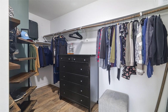 309 Callahan Ln, Leander, TX 78641 - spacious closet featuring wood finished floors