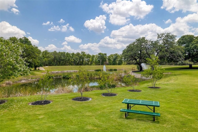 309 Callahan Ln, Leander, TX 78641 - view of community featuring a water view and a lawn