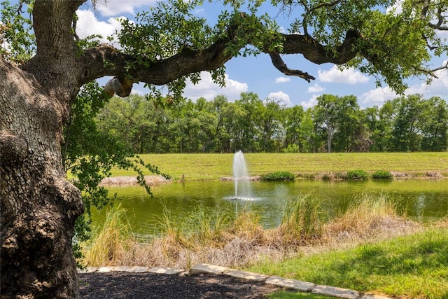 309 Callahan Ln, Leander, TX 78641 - water view