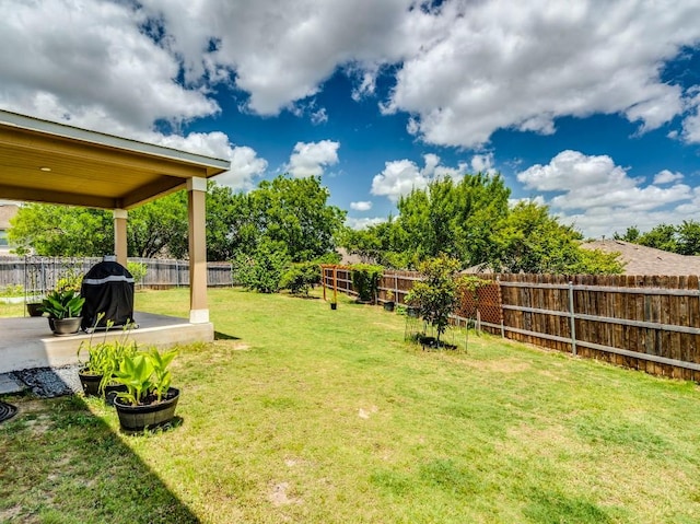 270 Fuchsia St, Kyle, TX 78640 - photo 26