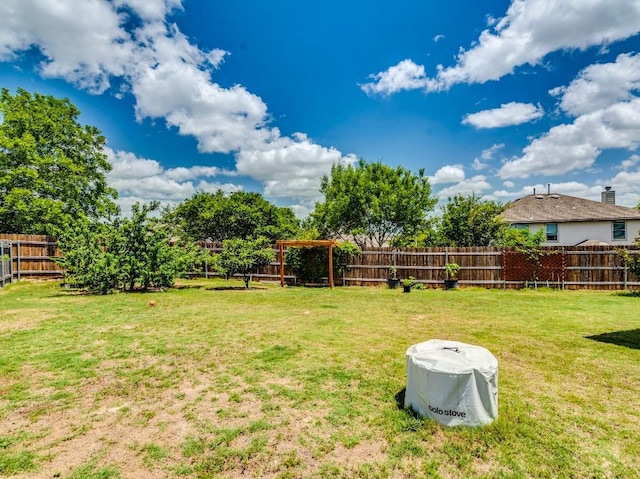 270 Fuchsia St, Kyle, TX 78640 - view of yard