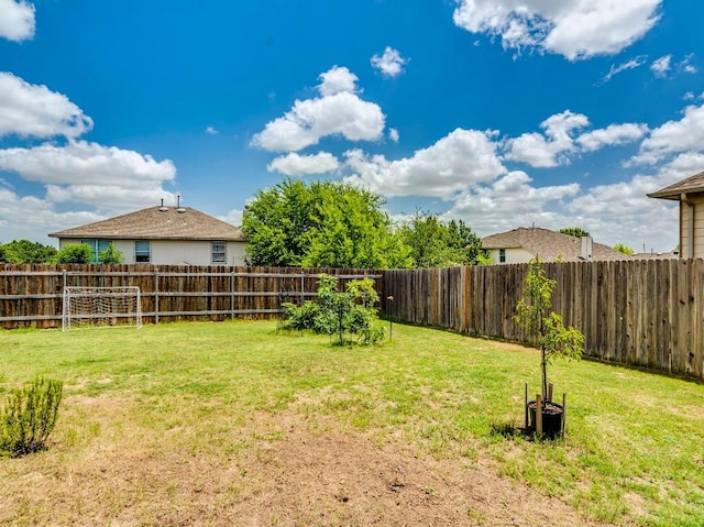 270 Fuchsia St, Kyle, TX 78640 - photo 31