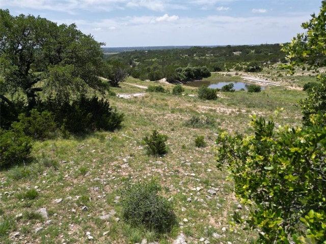 TBD River Shoals Dr, Kempner, TX 76539