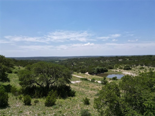 TBD River Shoals Dr, Kempner, TX 76539