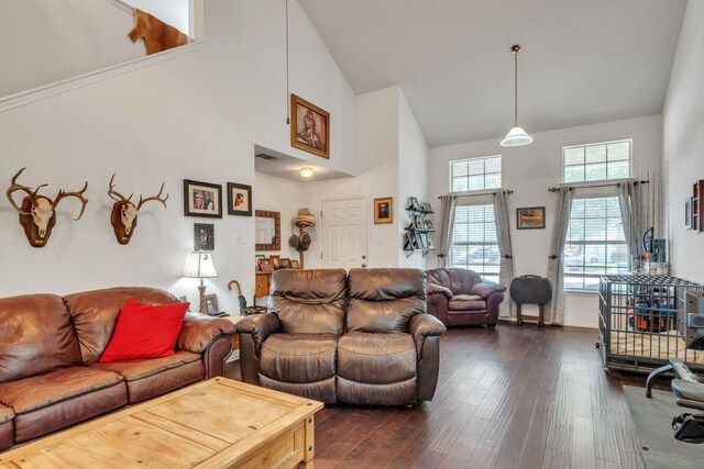 101 Cannery Cv, Leander, TX 78641 - living area featuring high vaulted ceiling and dark wood-type flooring