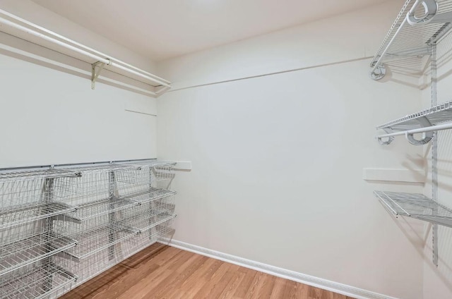 1005 Westland Ridge Rd, Dripping Springs, TX 78620 - walk in closet with light wood finished floors