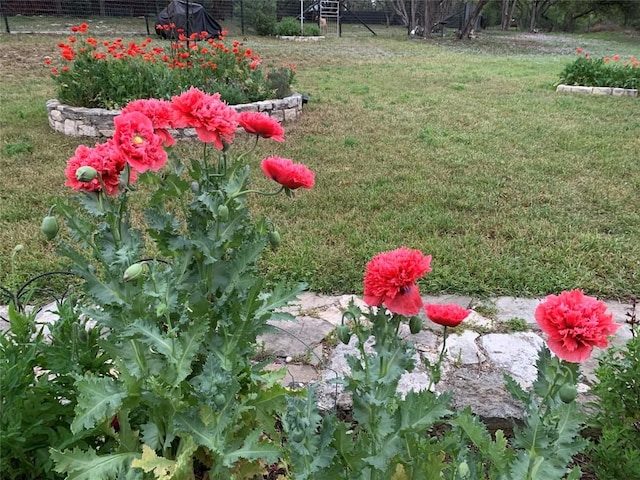 1005 Westland Ridge Rd, Dripping Springs, TX 78620 - view of yard