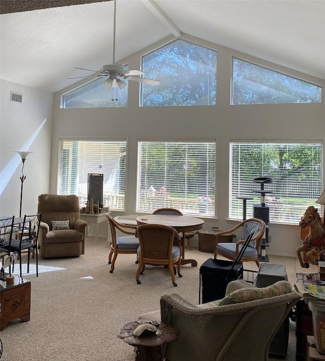 4105 Val Verde Dr, Georgetown, TX 78628 - living room with carpet, a ceiling fan, and high vaulted ceiling