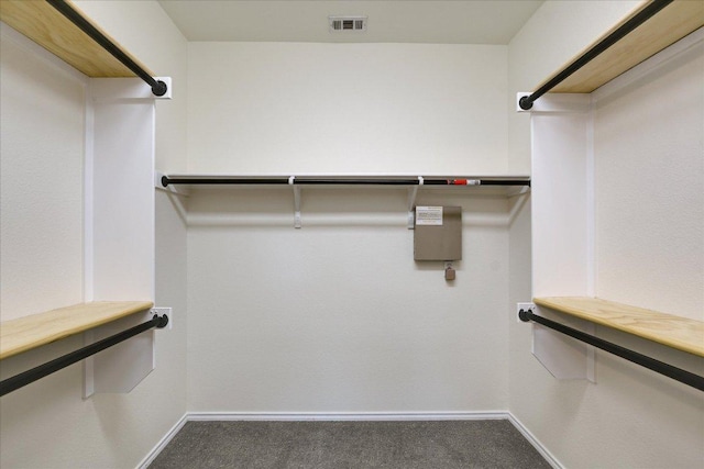 515 Mill Pond Path, Georgetown, TX 78633 - walk in closet featuring carpet