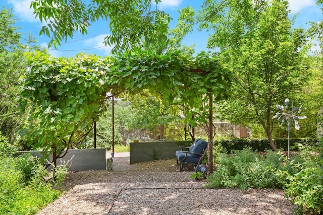 1003 E 8th St, Austin, TX 78702 - view of yard