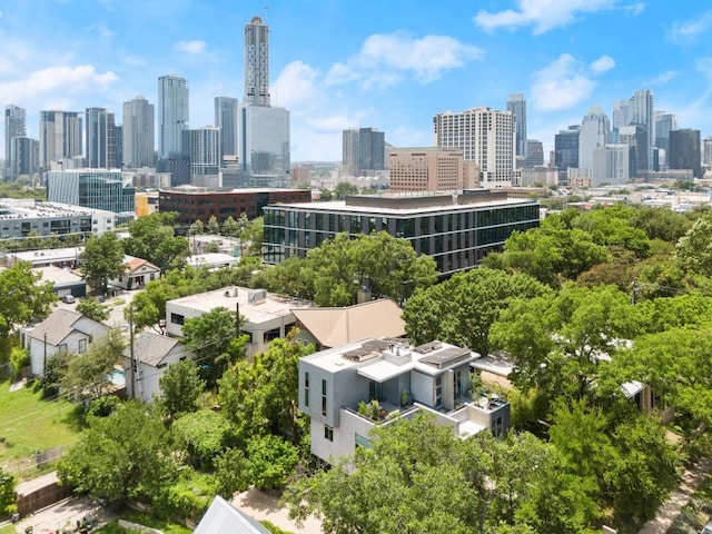 1003 E 8th St, Austin, TX 78702 - view of city skyline