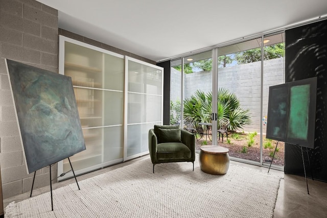 1003 E 8th St, Austin, TX 78702 - view of sunroom