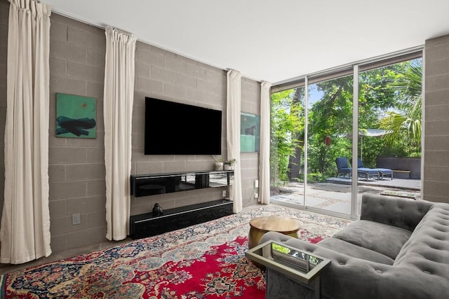 1003 E 8th St, Austin, TX 78702 - living area featuring expansive windows
