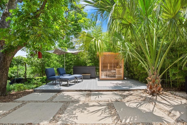 1003 E 8th St, Austin, TX 78702 - view of patio featuring a deck