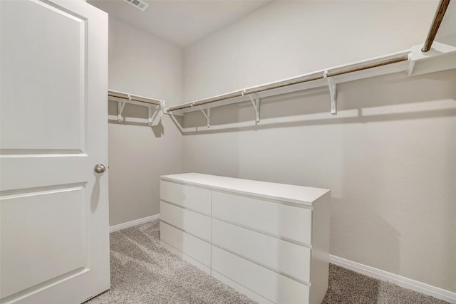 2824 Smokehouse Trl, Round Rock, TX 78665 - spacious closet featuring light carpet