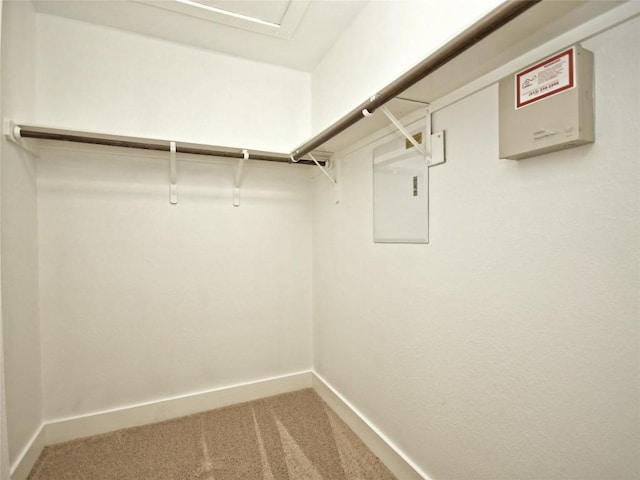 2001 Tramson Dr, Austin, TX 78741 - photo 17