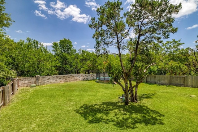 3437 Mulberry Creek Dr, Austin, TX 78732 - photo 34