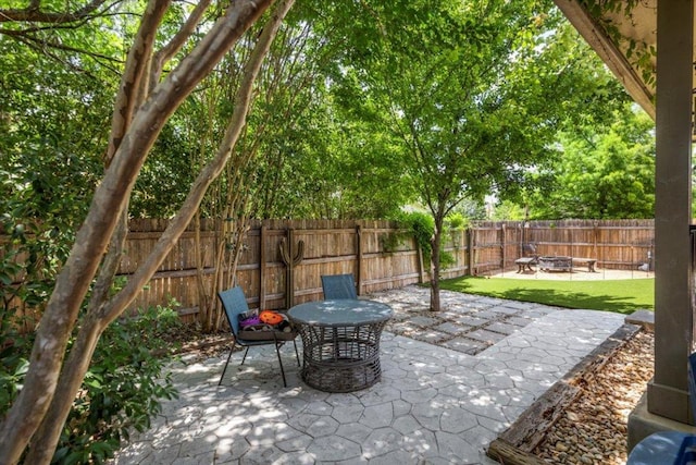 2313 Jake Pickle Pass, Leander, TX 78641 - fenced backyard with a patio area and a fire pit